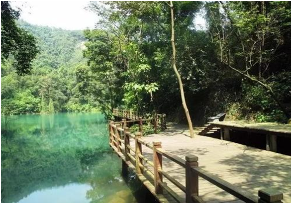 王子山森林旅游度假區(qū)