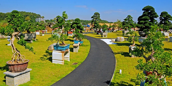 村美 民富 產業活   以“百千萬工程”為筆 繪就城鄉融合新畫卷