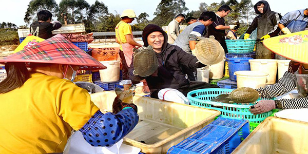 花都赤坭鎮：人歡魚躍好“豐景”