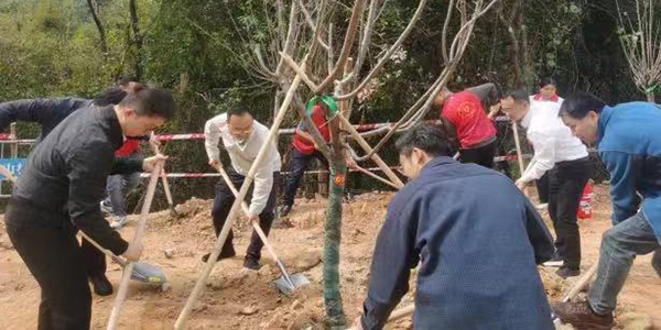 學(xué)雷鋒服務(wù)月超燃啟動(dòng)    志愿服務(wù) 植樹(shù)增綠