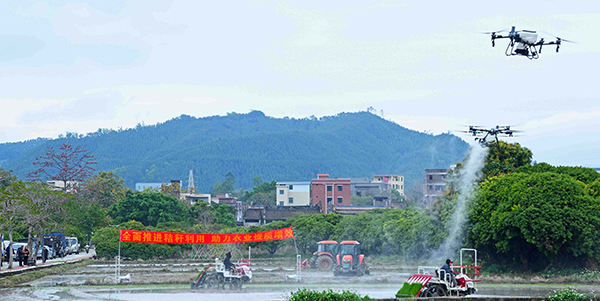 花都區(qū)啟動(dòng)2025年春耕工作   體驗(yàn)現(xiàn)代農(nóng)業(yè)“科技盛宴”