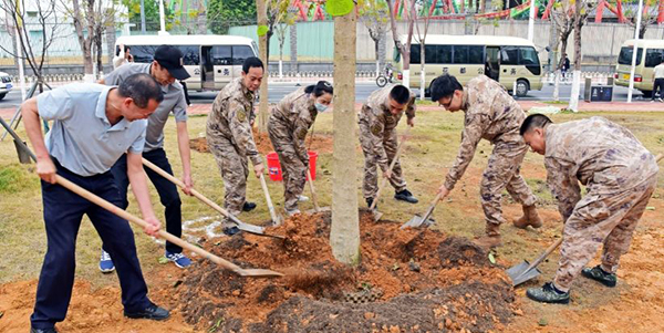 種植適生喬木3860株    花都掀起全民植樹(shù)熱潮