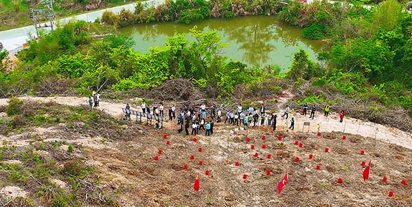 巡林植綠齊行動 共繪花都生態(tài)圖
