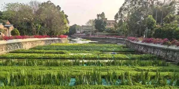 清單化管理+精準(zhǔn)施策  花都筑牢十五運生態(tài)屏障