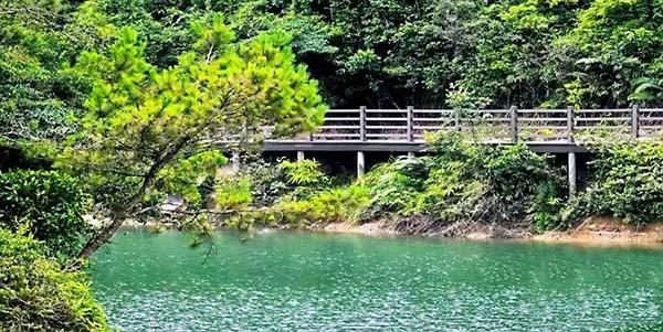 花都區組織開展鎮村兩級林長業務培訓班  “精準化+實戰化”提升履職能力