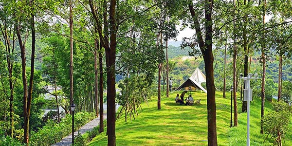 華南地區首家   高端民宿落戶花都梯面