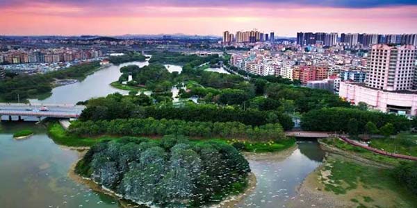 花都區(qū)全面推進綠美生態(tài)建設(shè)  繪就“城在園中 人在畫中”新圖景