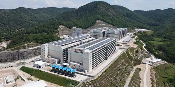 從“土味”到“品味” 看花都如何把“土特產(chǎn)”做成大產(chǎn)業(yè)